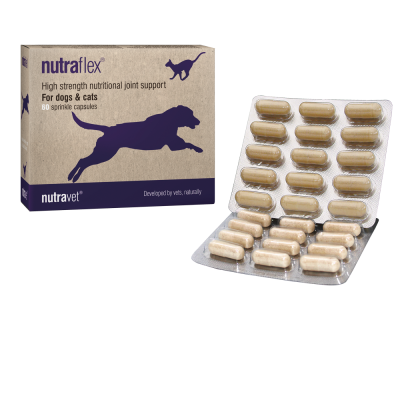 改善關節營養膠囊 